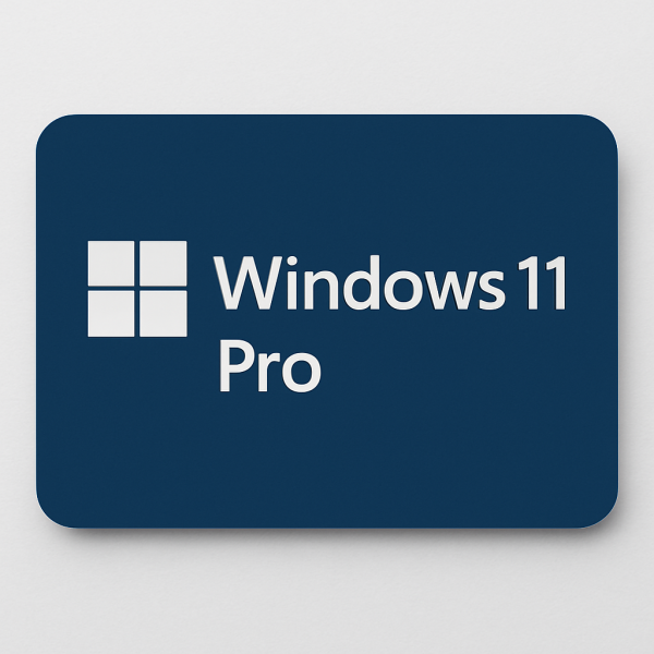 Windows 11 Professionnel
